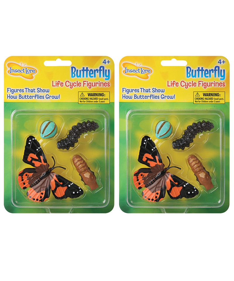 Butterfly Life Cycle Stages, 4 Per Set, 2 Sets